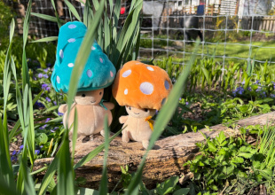 C Garden Mushrooms
